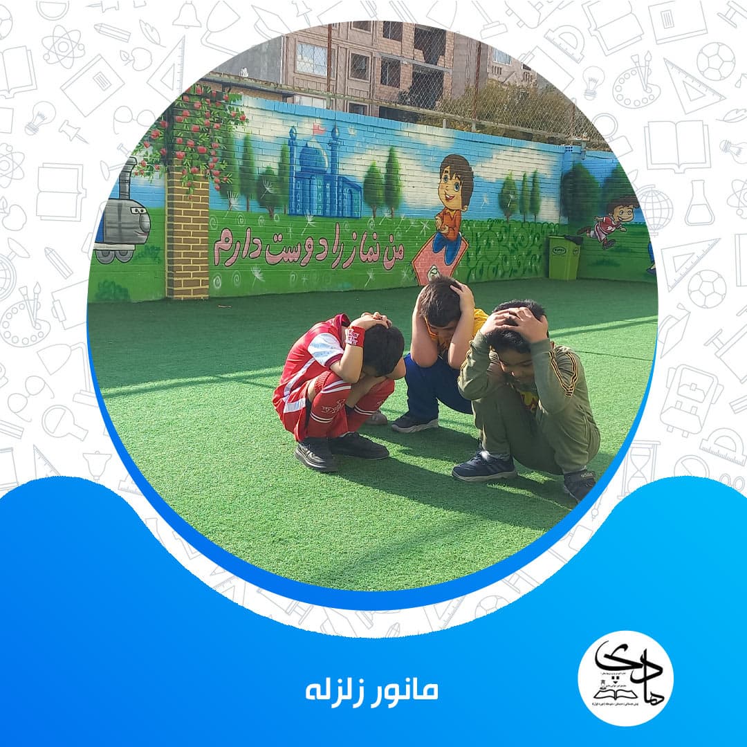 مجتمع غیردولتی هادی