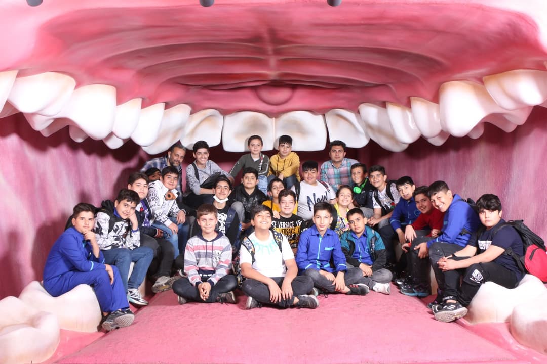 اردوی دکترلند